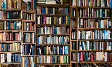 The Writer's Bookshelf by Diana Tyler