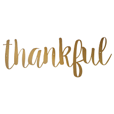 10 Things Writers Can Be Thankful For by Diana Tyler